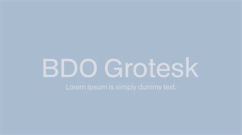 bdo font|BDO Grotesk Font Family › Fontesk.